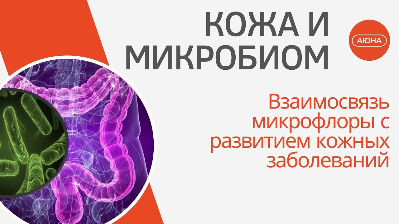 Кожа и микробиом кишечника
