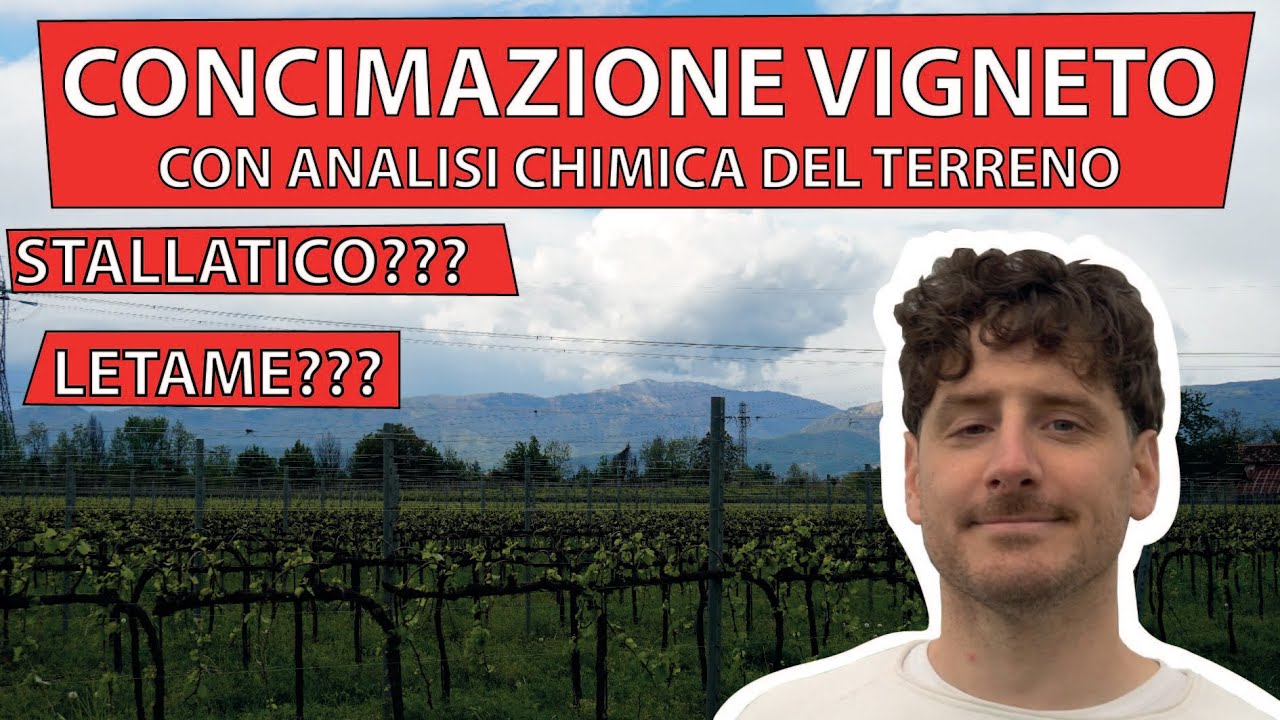 Concimazione vigneto basata su analisi chimica del terreno (parte 1)