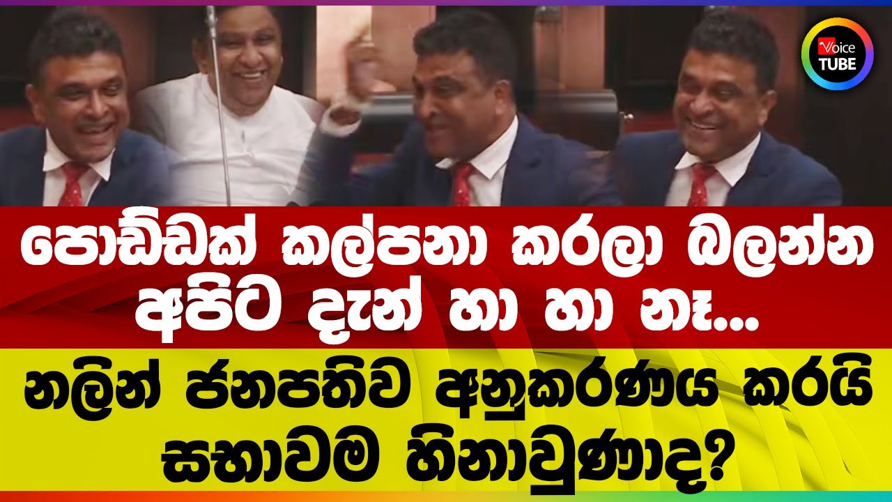 පොඩ්ඩක් කල්පනා කරලා බලන්න | අපිට දැන් හා හා නෑ... | නලින් ජනපතිව අනුකරණය කරයි | සභාවම හිනාවුණාද?