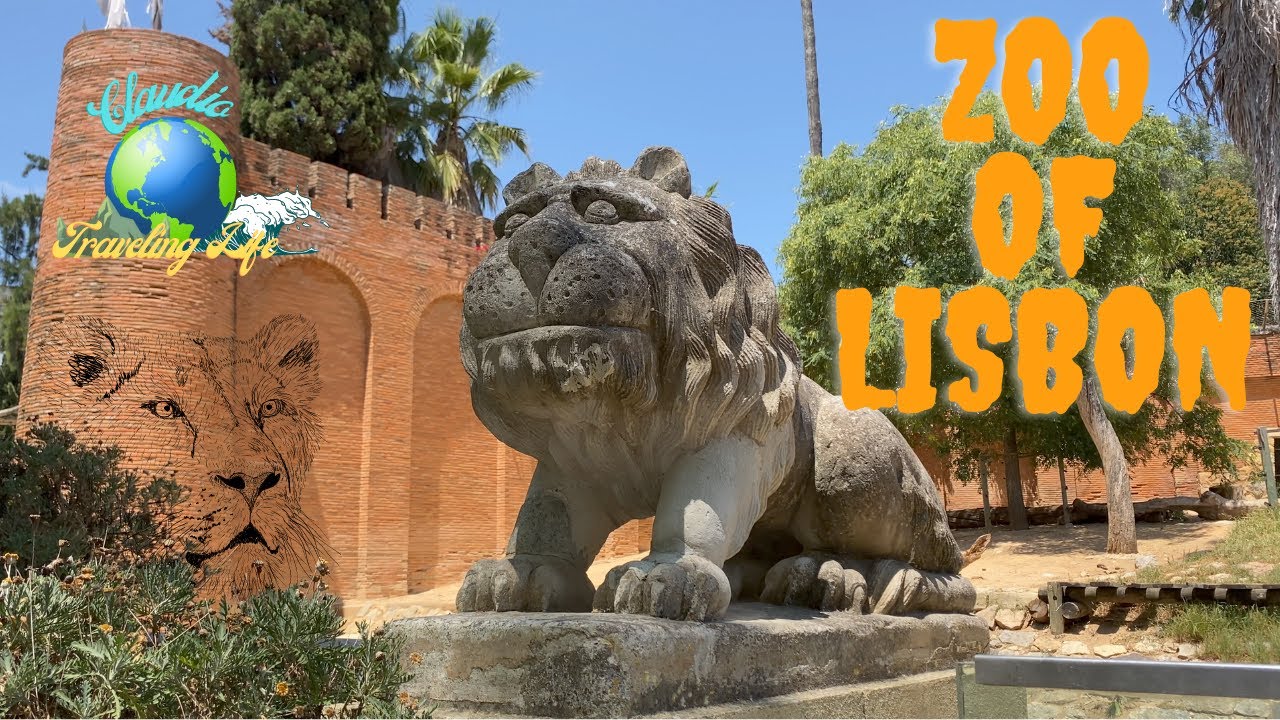 Lisbon tour:ALL the ZOO has to offer!