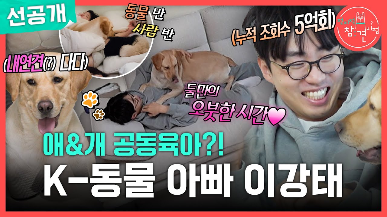 [전지적 참견 시점 선공개] 사람 반 동물 반인 K-동물 아빠 이강태의 보금자리 대공개!✨, MBC 260214 방송