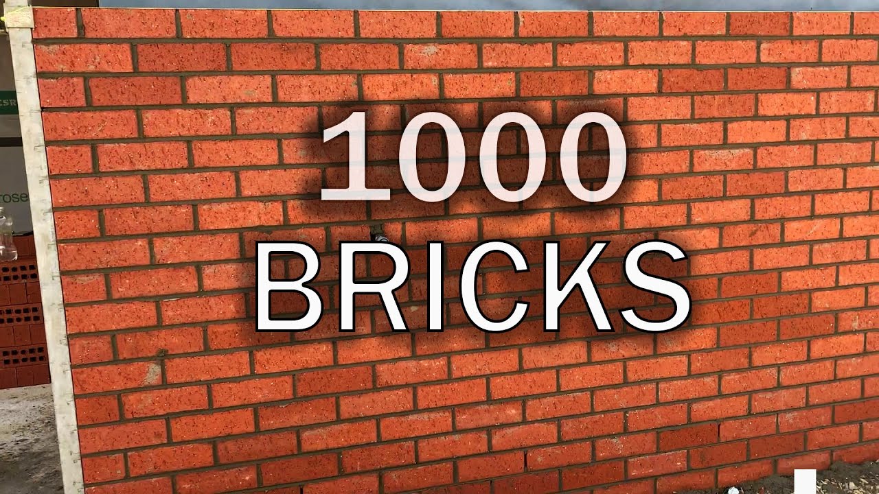 1000 BRICKS in 4 HOURS
