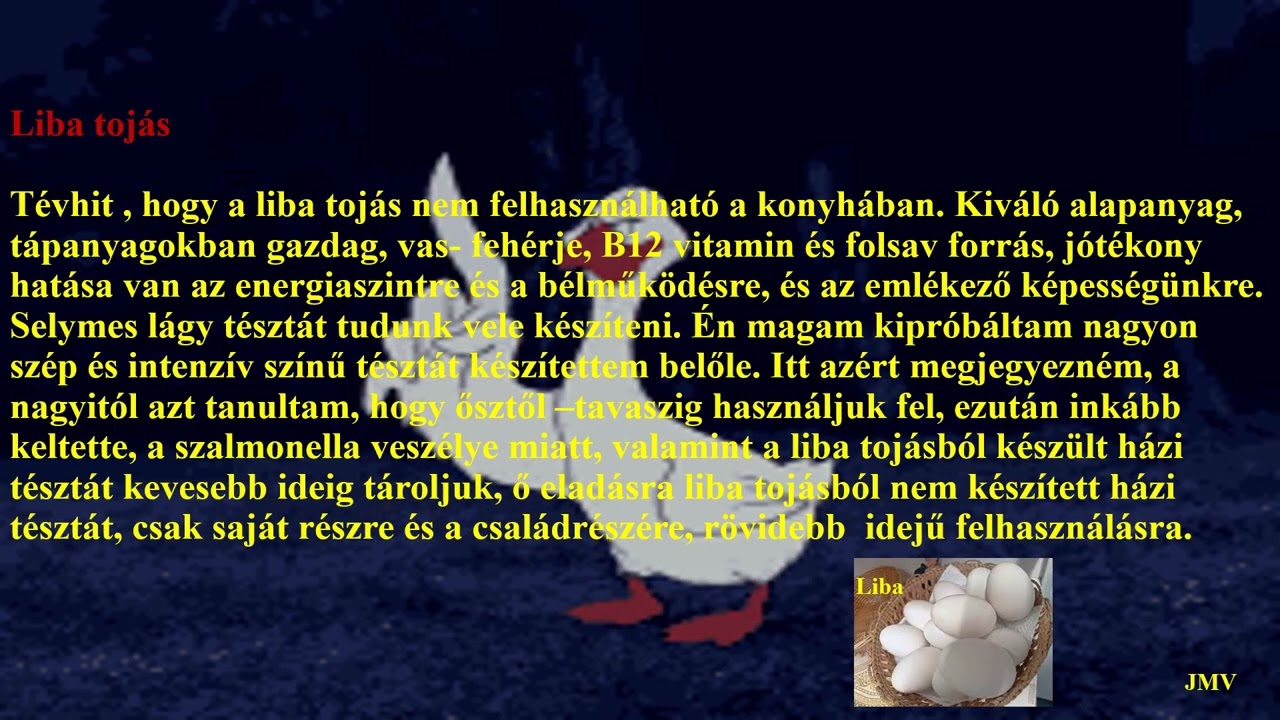 Tojással készült házi tészták