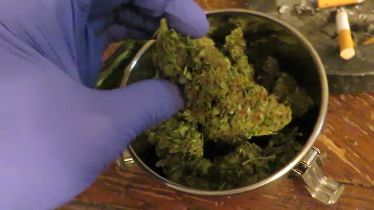 First acquired strain of Cannabis of 2022.  Extremely well grown Jack Herer