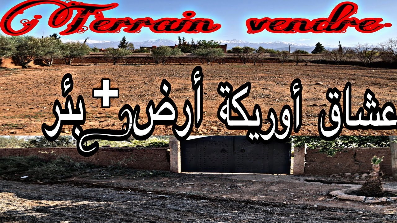 ارض للبيع اريكة اجمل منطقة حاليا