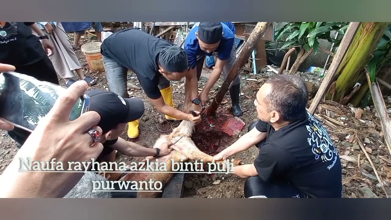 Pemotongan hewan kurban mushollah baitul muttaqien idul adha 1447 H (6 juni 2025)