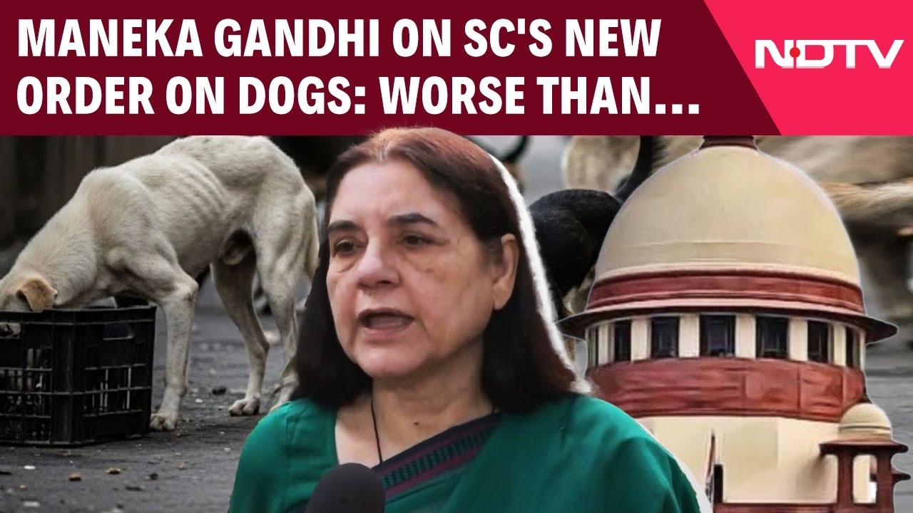 Street Dog Supreme Court Order | &lsquo;Worse Than Previous Judgement&rsquo;: Maneka Gandhi