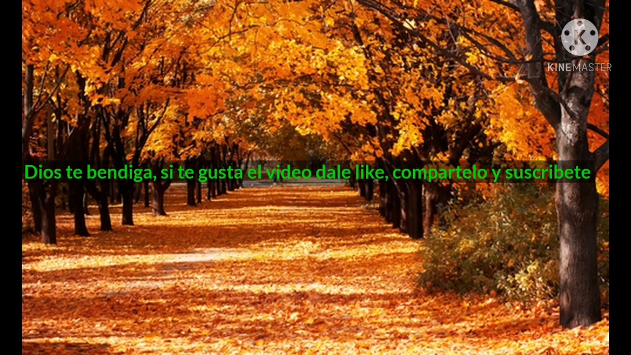 Como las flores Pista — Tony sauceda