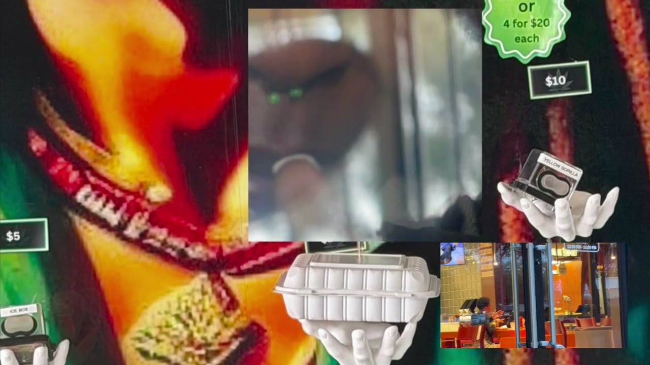 Bob Marley vibes SINGING NOTES FALSETTO 4 HER