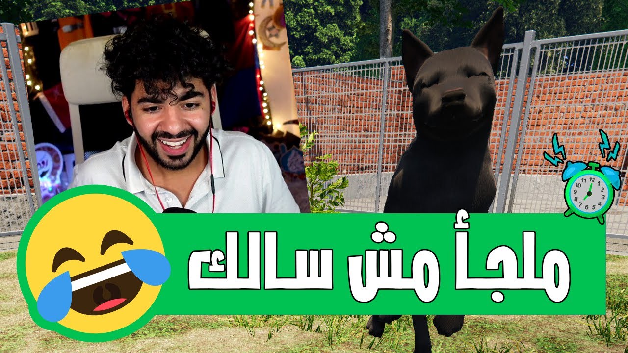 كل كلب له اسم اغبي ماللي قبله😂 | #1 | ملجأ الحيوانات - Animal Shelter