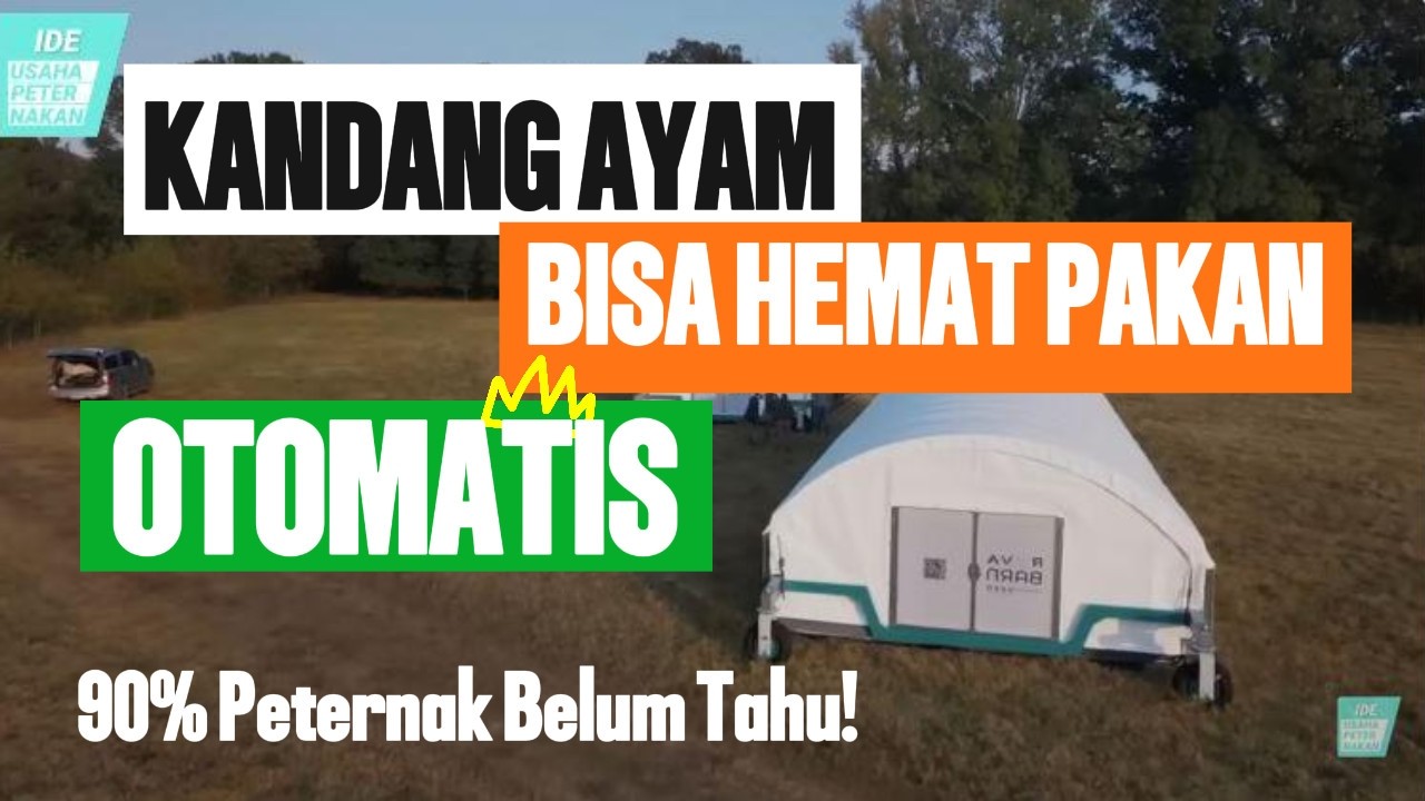90% Peternak Belum Tahu! Kandang Ayam Ini Bisa Hemat Pakan Otomatis 