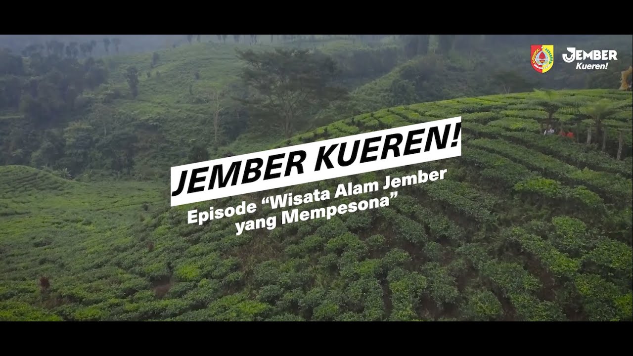 Wisata Alam Jember yang Mempesona I Jember Kueren!