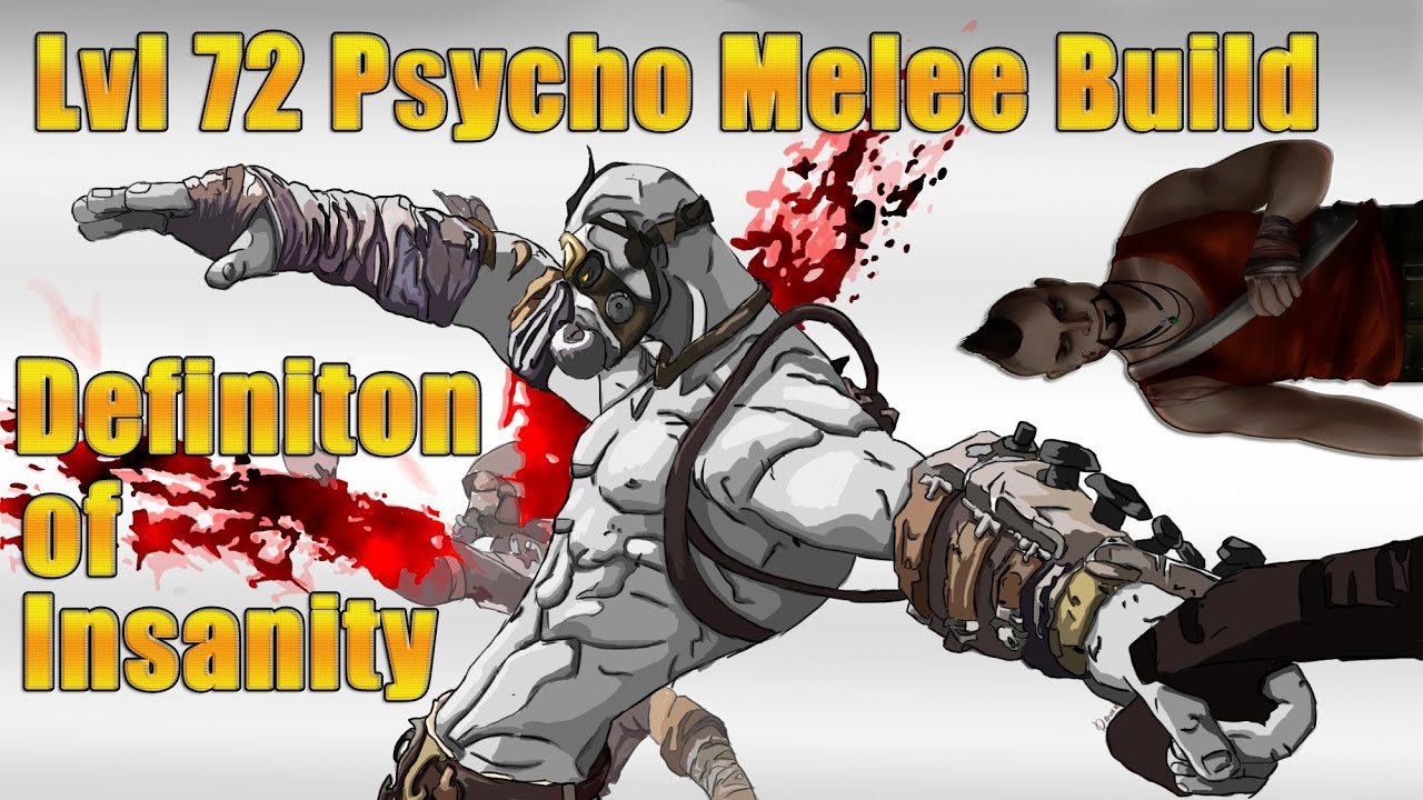 Borderlands 2- Level 72 Psycho Melee Build *Definition of Insanity*