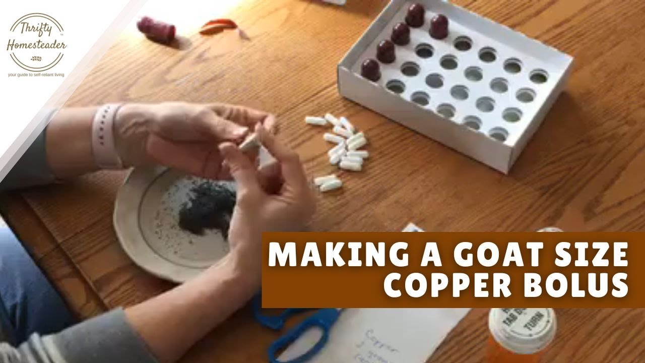 Making Copper Boluses for Goats