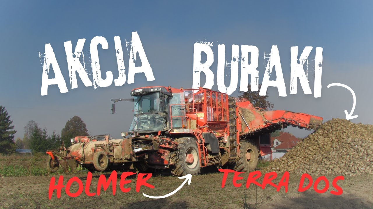 WYKOPKI BURAKÓW WE MGLE 😍🔥 HOLMER W AKCJI 🙃 JESIEŃ 2024👨‍🌾