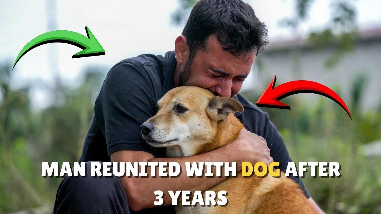 Lost dog finds his owner after 3 years - You won't believe the reaction...