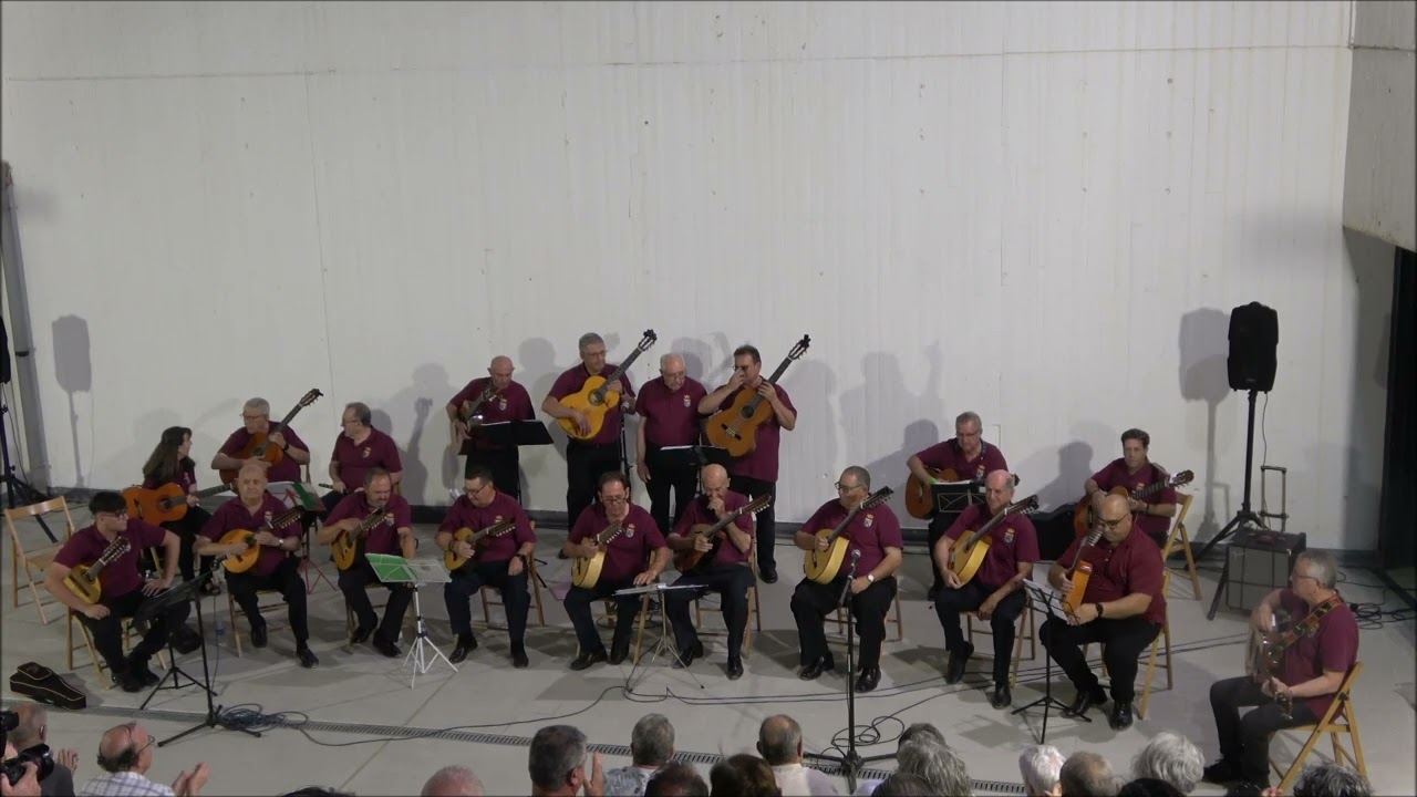 CONCIERTO PREFIESTAS DESGUACE 2024 HD.