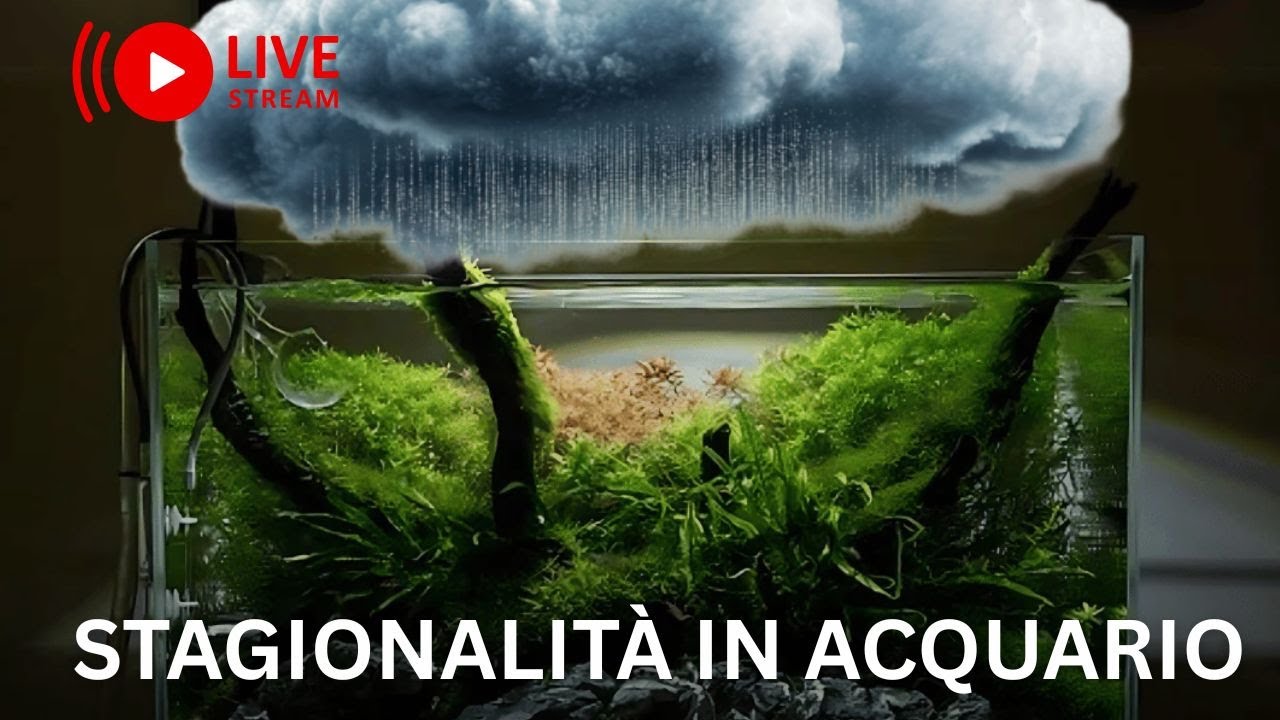 Stagionalità in Acquario