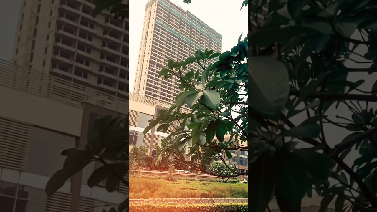 Wave city centre views #youtube #ytshorts #shorts #follow