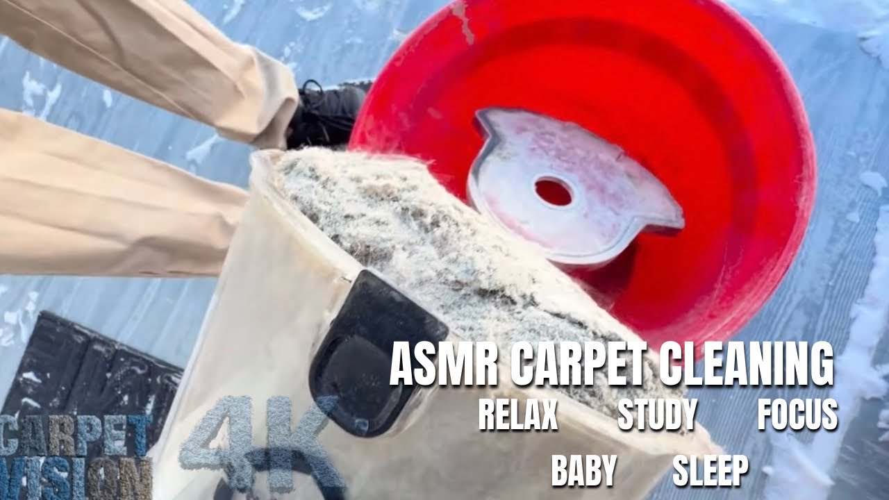ASMR Carpet Cleaning | Relaxing Carpet Reset 💤 (Sleep Now)