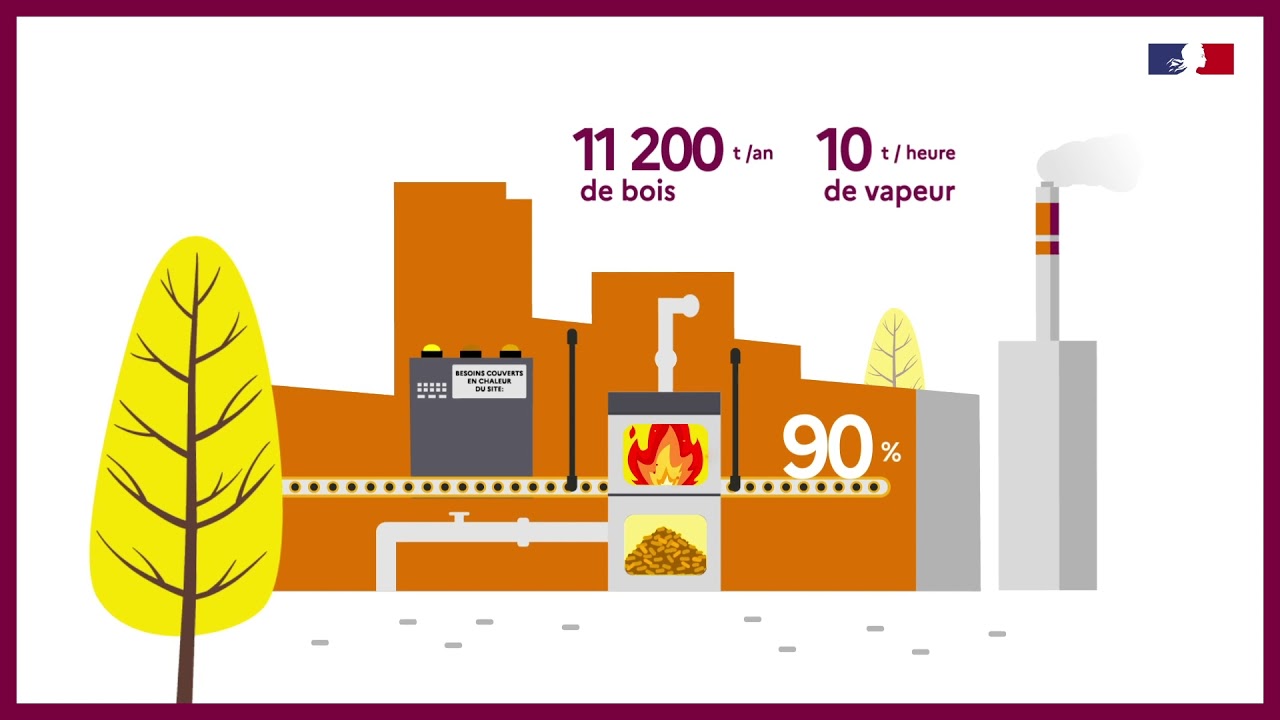 Industriels :  avec la biomasse, touchez du bois !