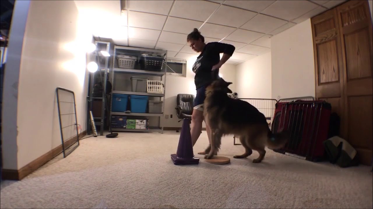 Zero To CD  - Hannah N - Pivot progression