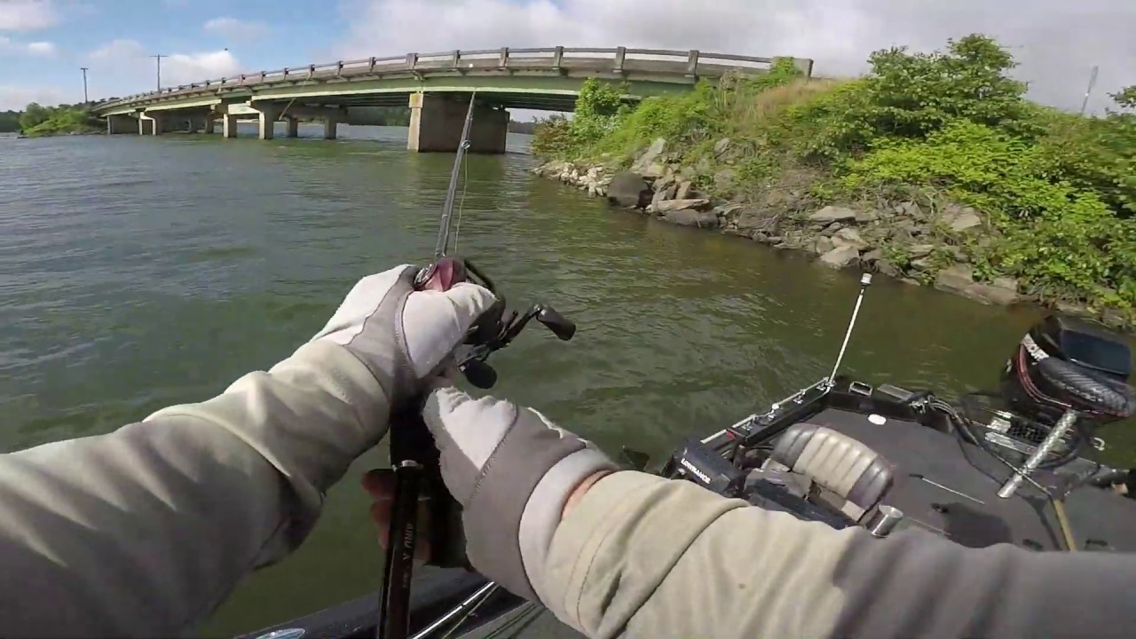 2018 Div 25 Championship Clark Hill Lake