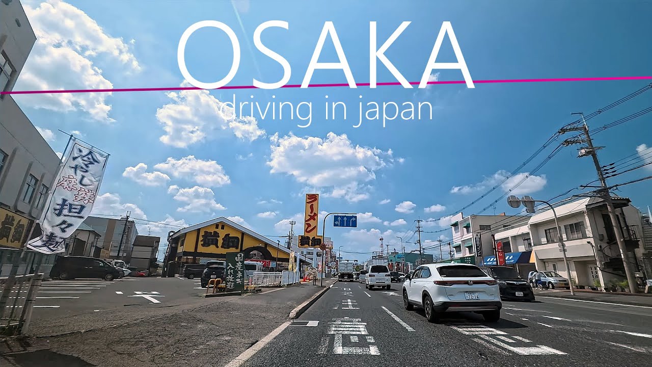 【4K】Driving Japan Osaka 大阪府八尾市恩智北町～羽曳野市埴生野ドライブ（Insta360AcePro）