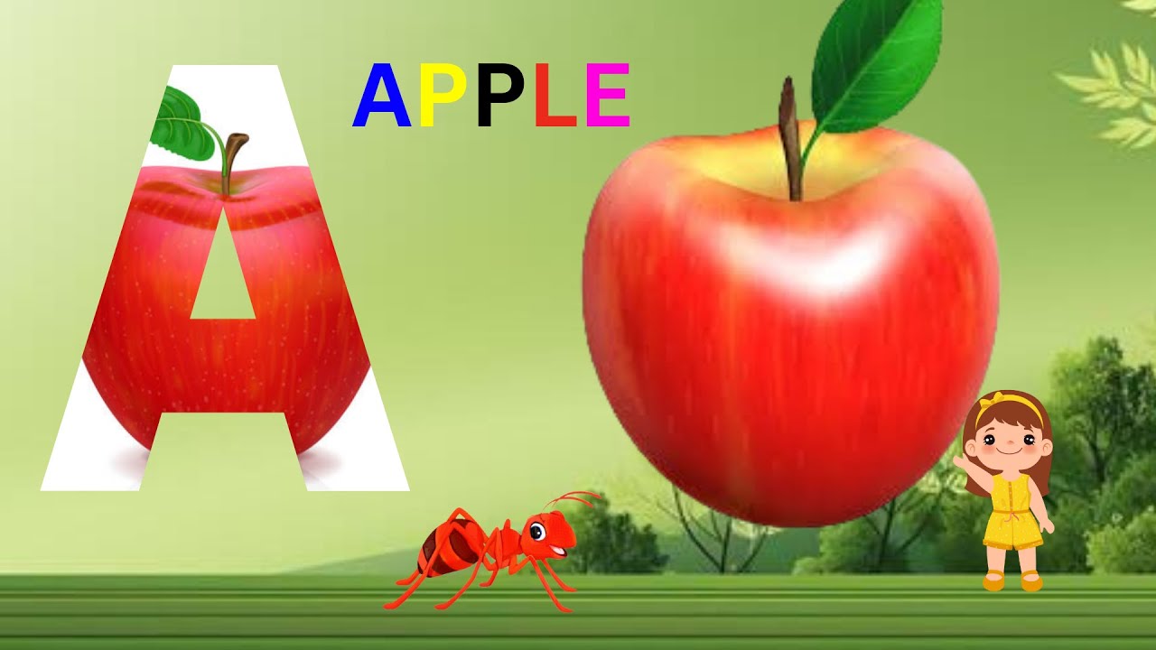 ABC phonics song ,Toddlers, Number song, Nursery Rhymes, Colour song , Babies, shape song 313