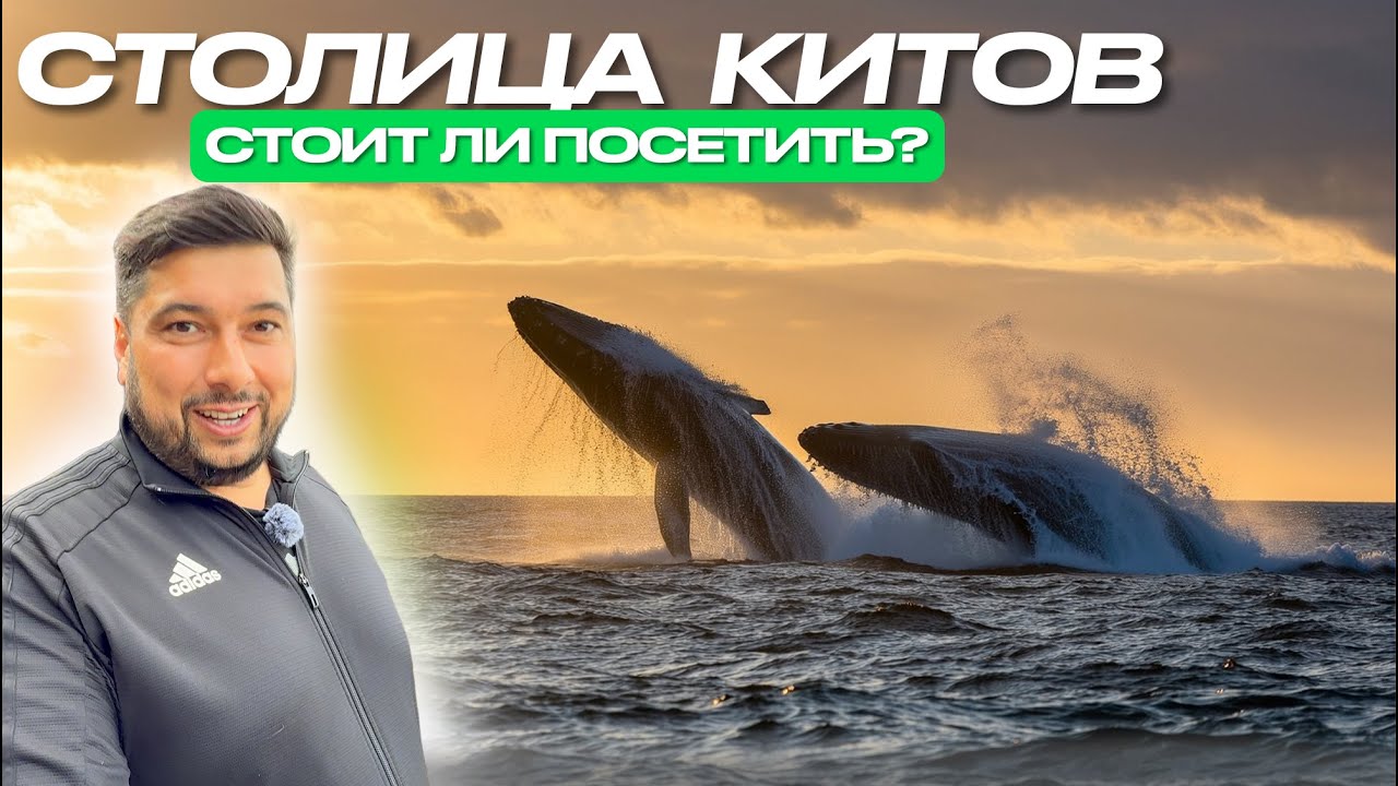 Мировая столица КИТОВ - оно того СТОИТ?