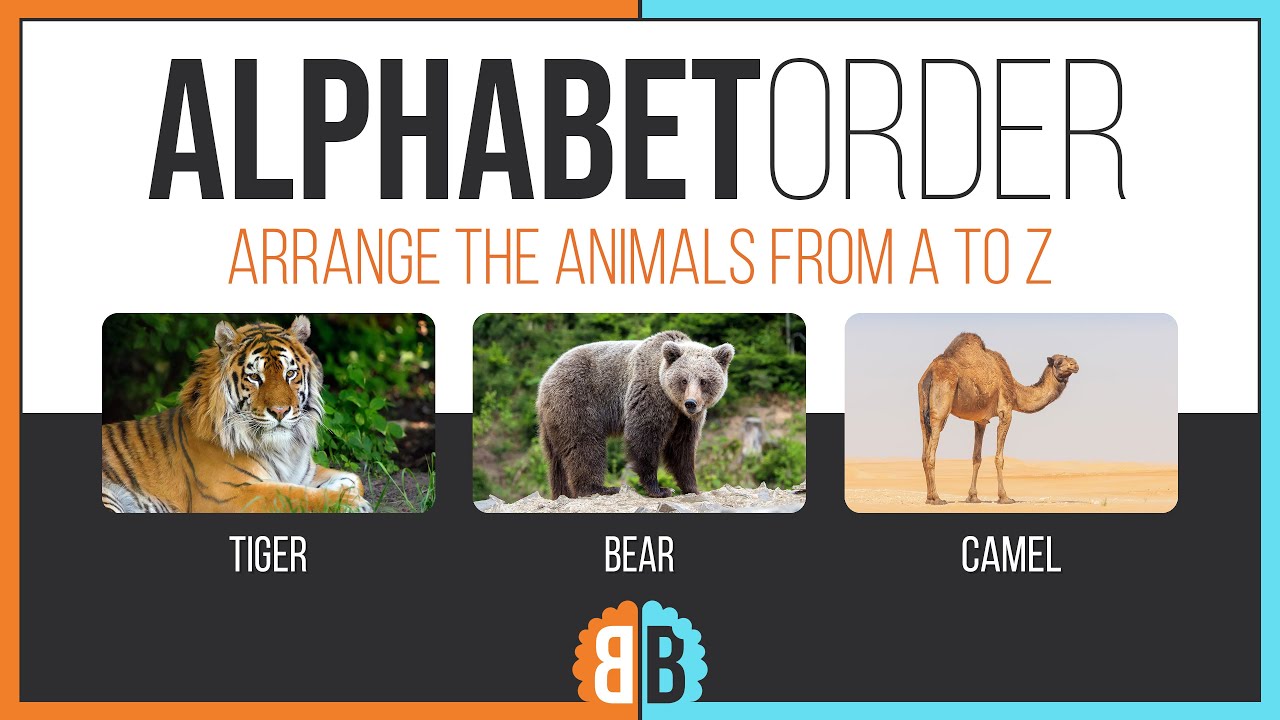 Arrange From A to Z | ALPHABET ORDER | Animal Quiz