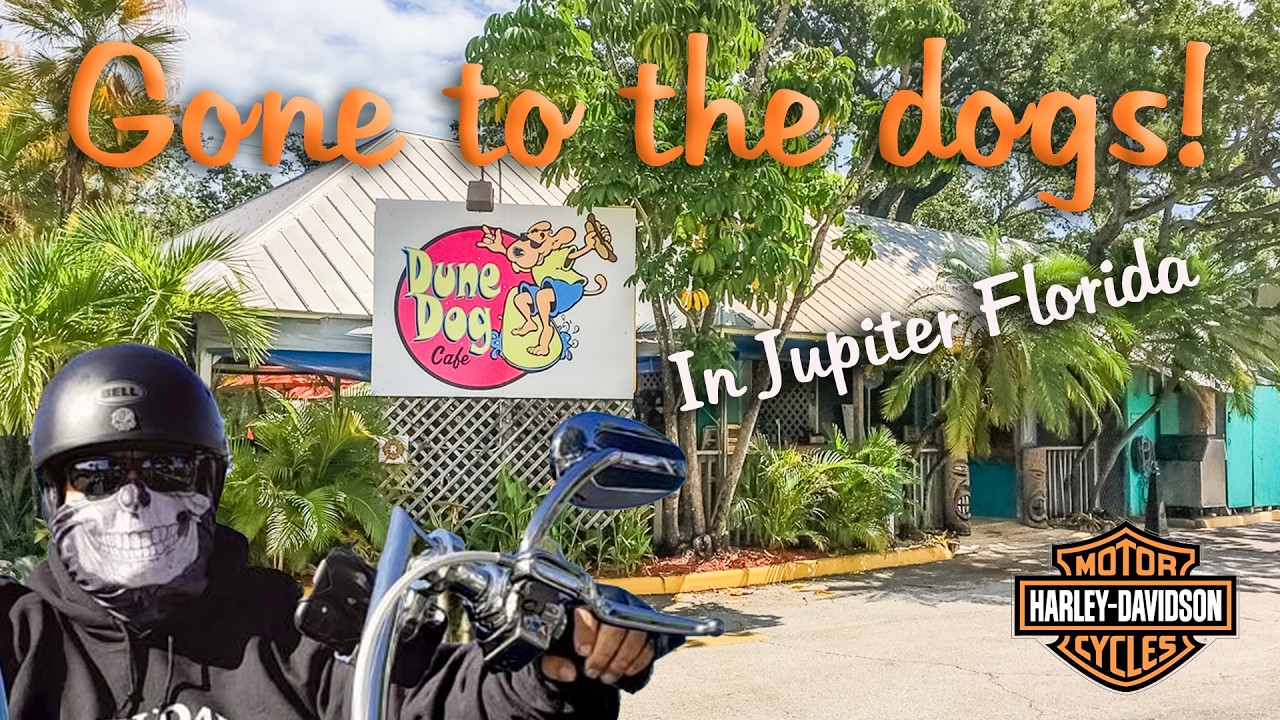 Gone to the Dogs at Dune Dog Café, Jupiter Florida