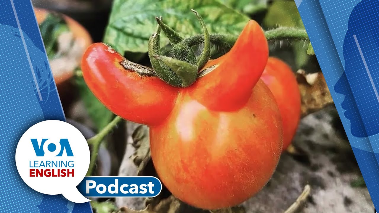 Learning English Podcast for Wednesday September 20, 2023