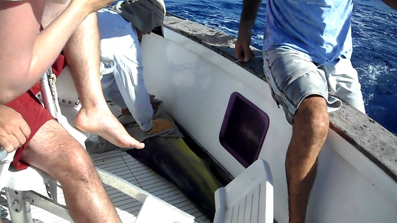 SportFishing off the Coast of Moorea in the French Polyensia