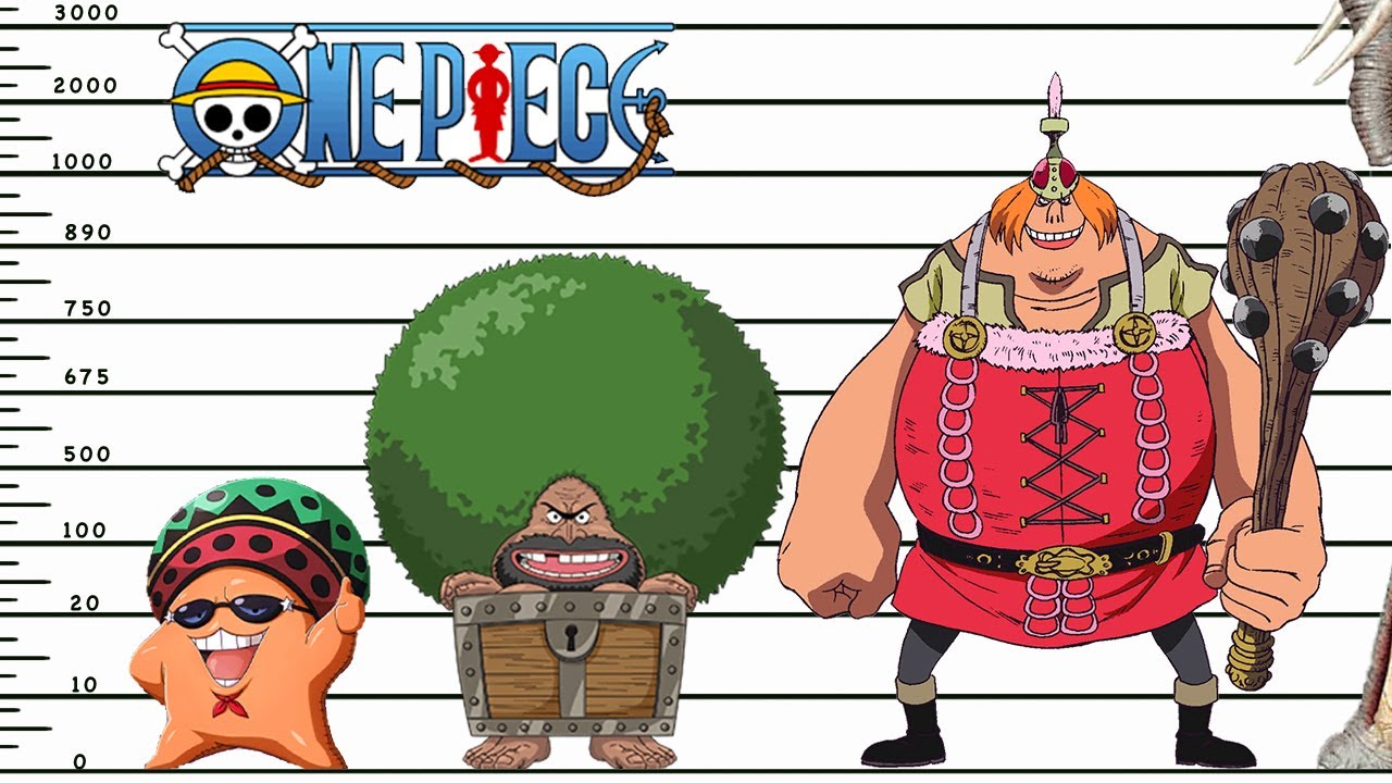 One Piece - character size comparison
