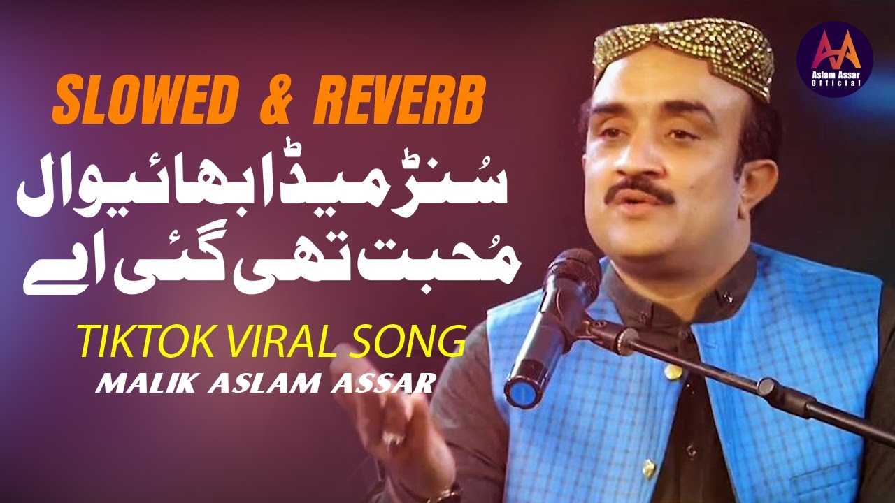 Sunr Meda Bhaiwal Muhabbat Thi Gai He (Slowed & Reverb) | Most Viral SONG | Aslam Assar Official