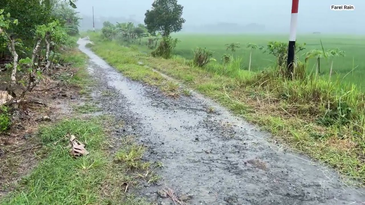 VILLAGE NATURAL LIFE DURING HEAVY RAIN🌩️ - RAIN WALK ASMR RAIN RELAXATION 🎧