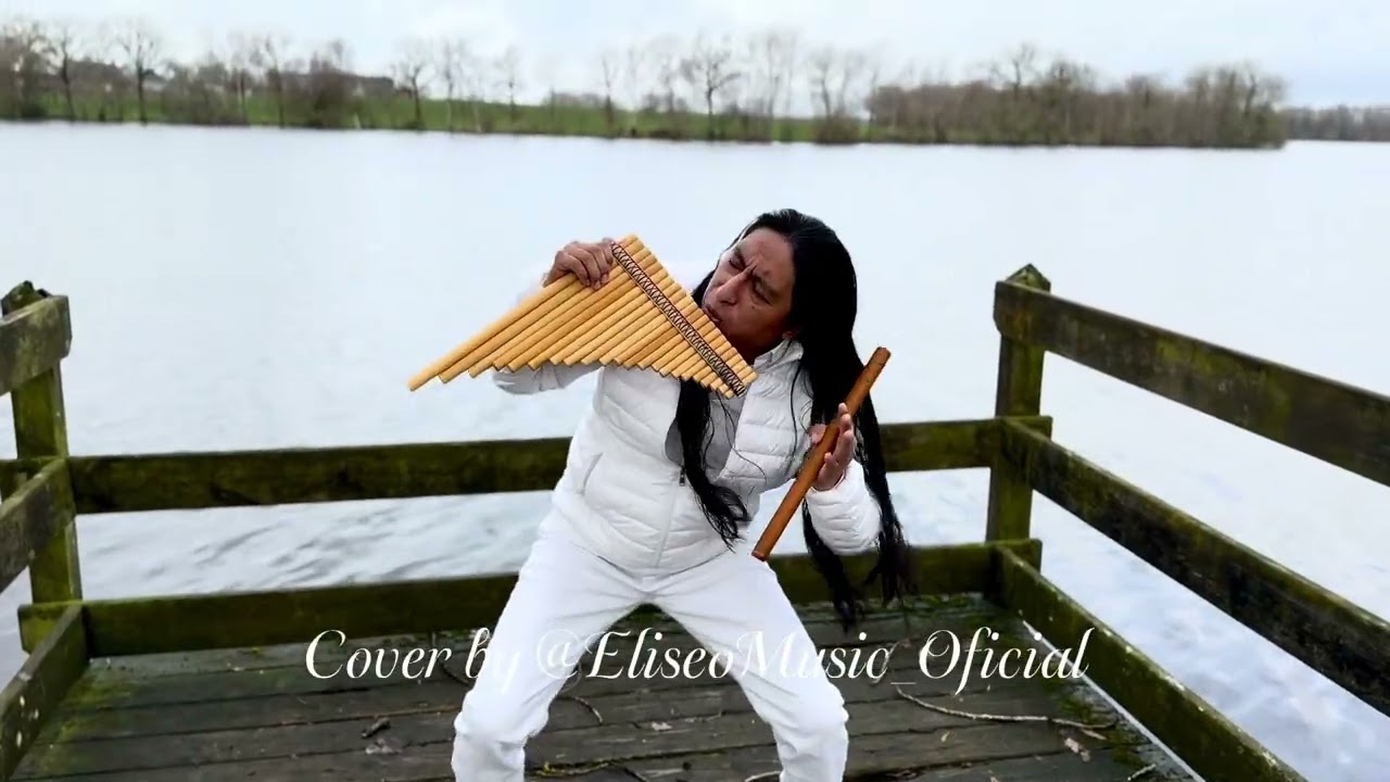 El Condor Pasa cover by @eliseomusic_oficial  