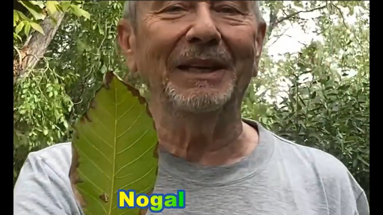 BIODIVERSIDAD EN EL JARDÍN
