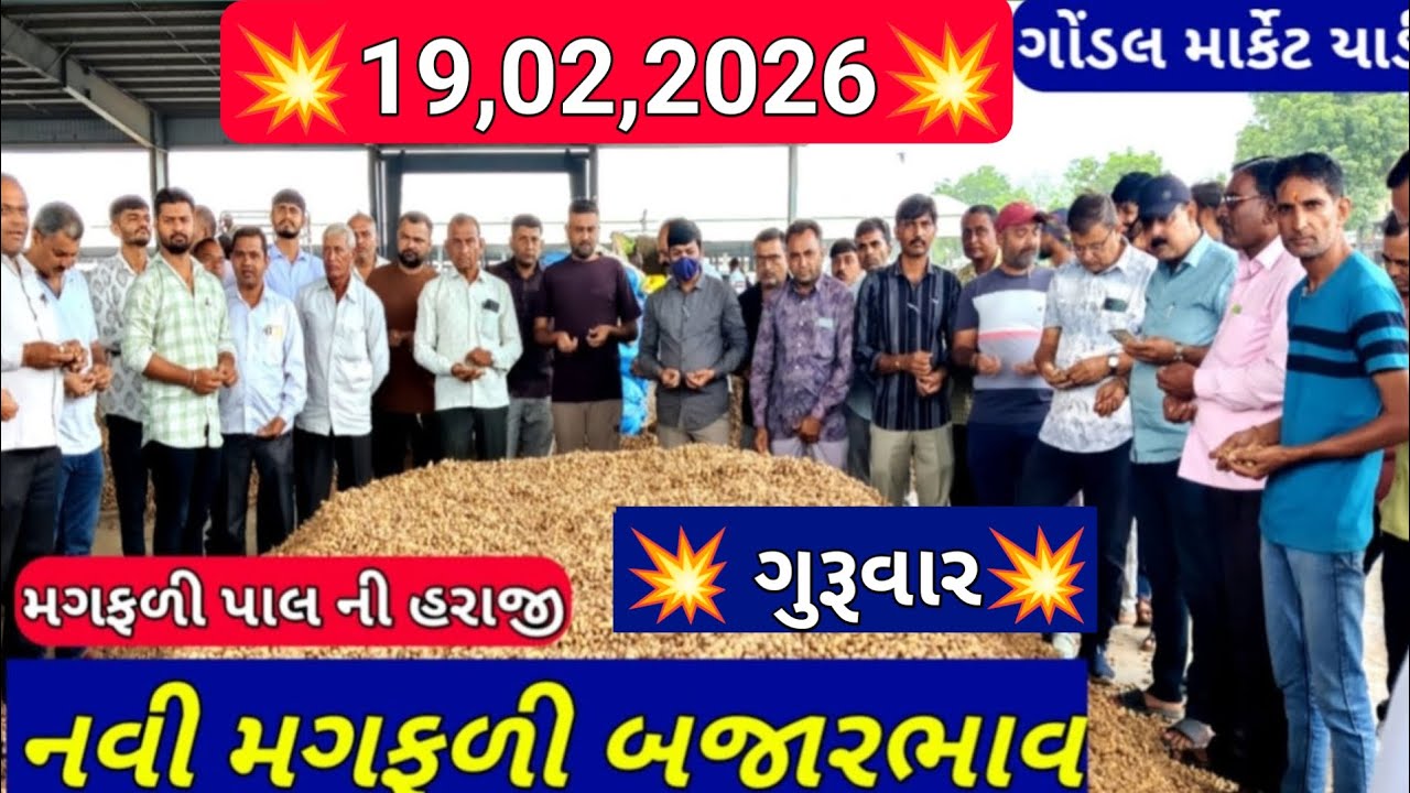 ગોંડલ મગફળી ના બજાર ભાવ / આજના મગફળીના ભાવ / નવી મગફળીના ભાવ /19,02,2026
