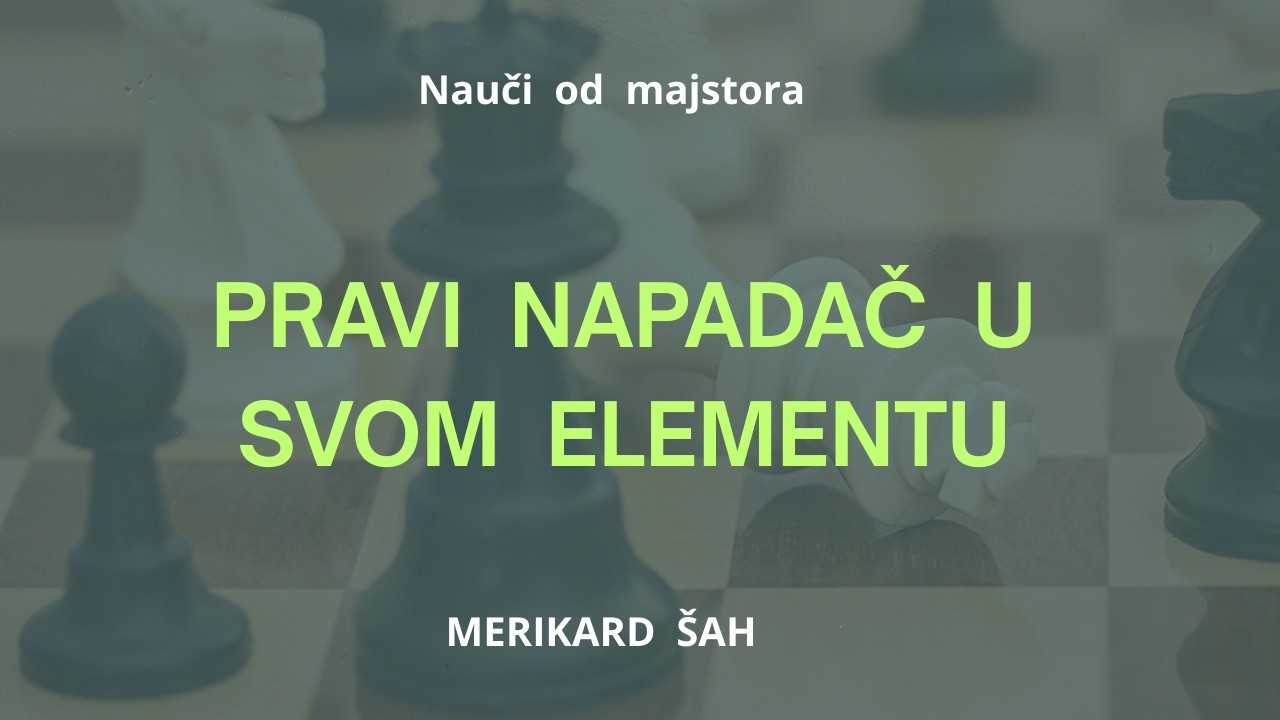 OVAKO  NAPADA  JEDAN  OD  NAJVEĆIH  NAPADAČA  U  POVIJESTI