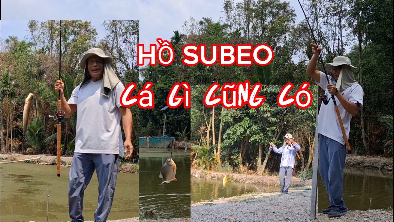 Câu cá chim hồ dịch vụ - hồ subeo phần 2 - thê thảm nha cả nhà