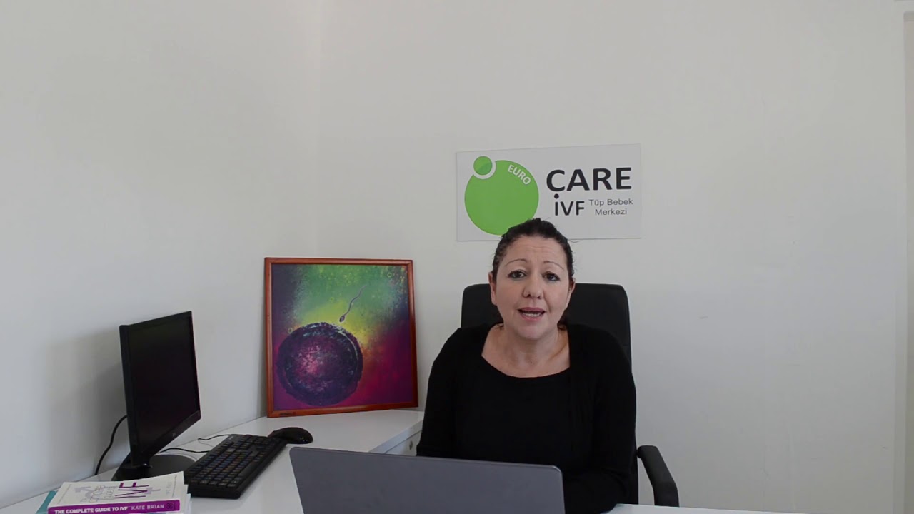 How do you grade the embryos | euroCARE IVF Center Cyprus