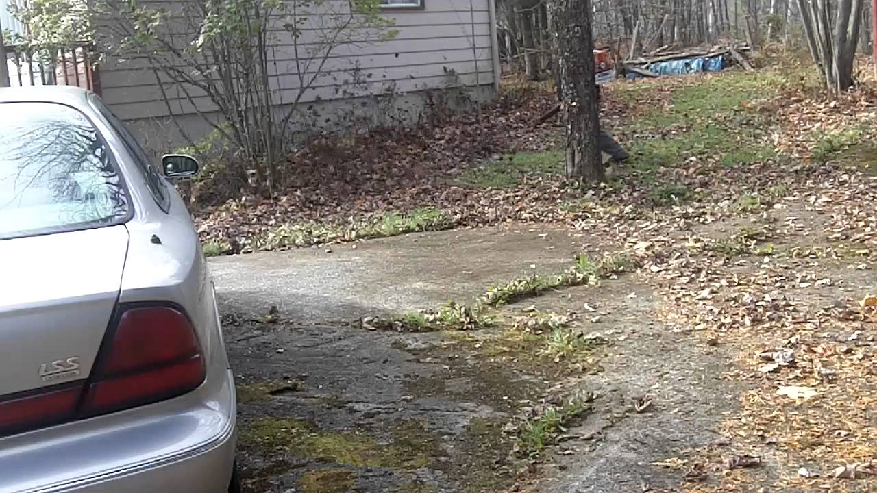 Leaf blowing With The STIHL BR420 Magnum Backpack Leaf Blower