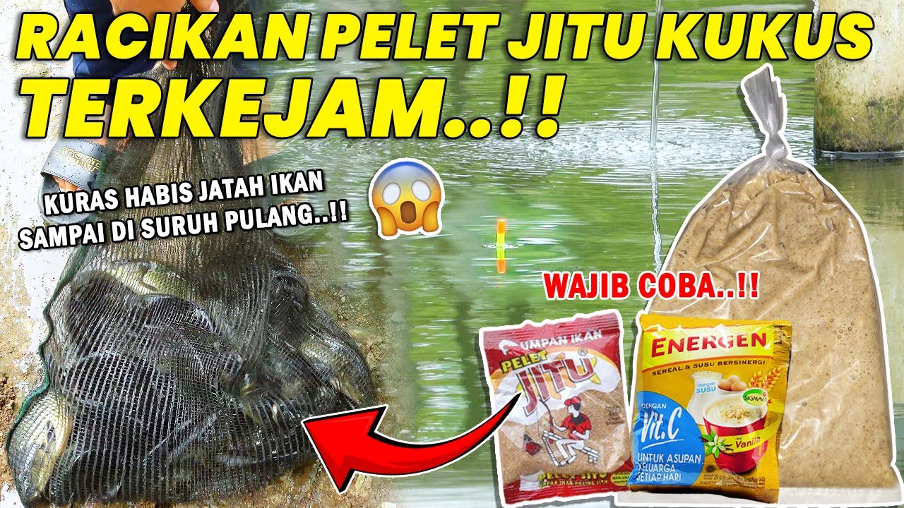 WAJIB COBA RESEP UMPAN KEJAM INI !! BONGKAR RAHASIA RACIKAN UMPAN IKAN MAS PELET JITU KUKUS ❗❗