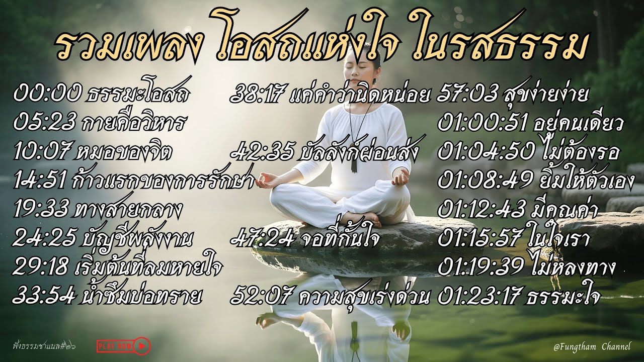 รวมเพลงบำบัดใจ โอสถแห่งใจ | เพลงเยียวยาใจในวันที่เหนื่อยล้า ฟังก่อนนอน