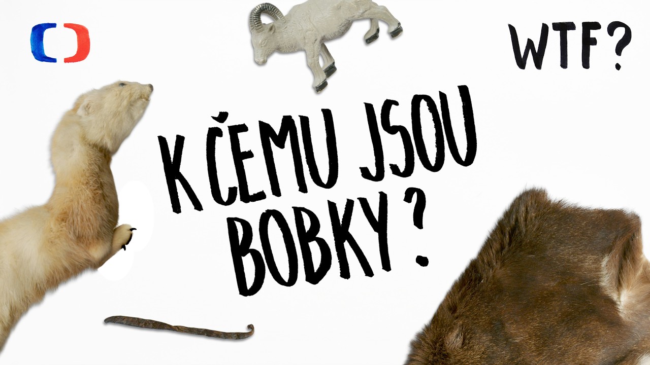 K čemu jsou bobky? | What the Fact?