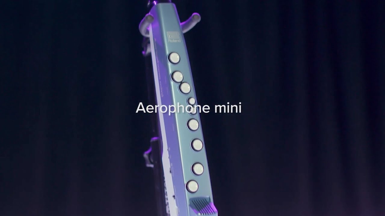 Roland AE 01 Aerophone Mini