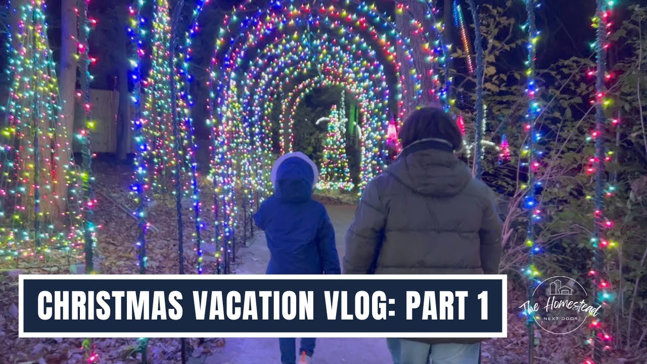 🎄GARDEN OF LIGHTS ROCKY CITY & CHATTANOOGA: Annual Christmas Vacation Tradition