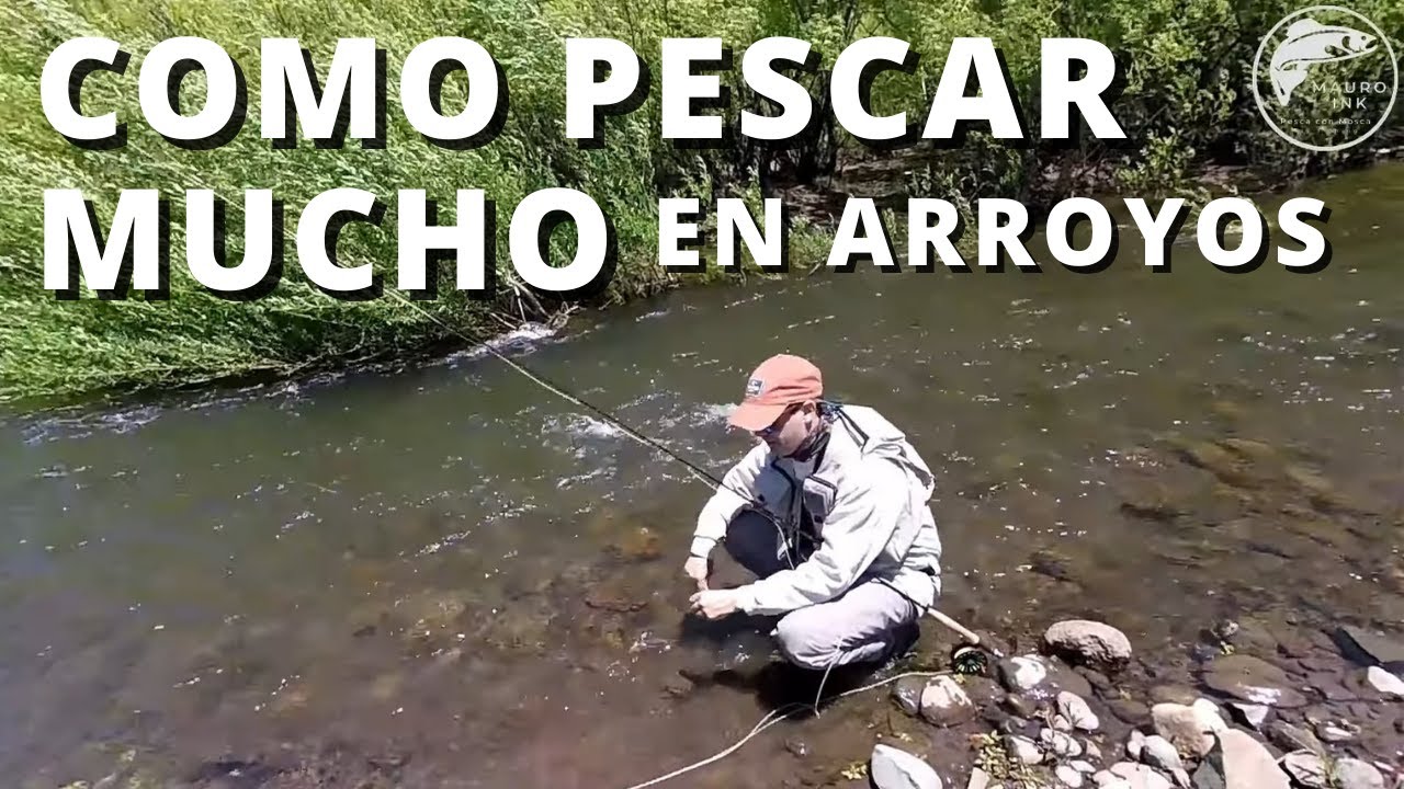 Como se Pesca en Arroyos, TIPS PARA PESCAR EN ARROYOS, Pescando Arroyos, Pesca con Mosca,Fly Fishing